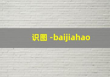 识图 -baijiahao